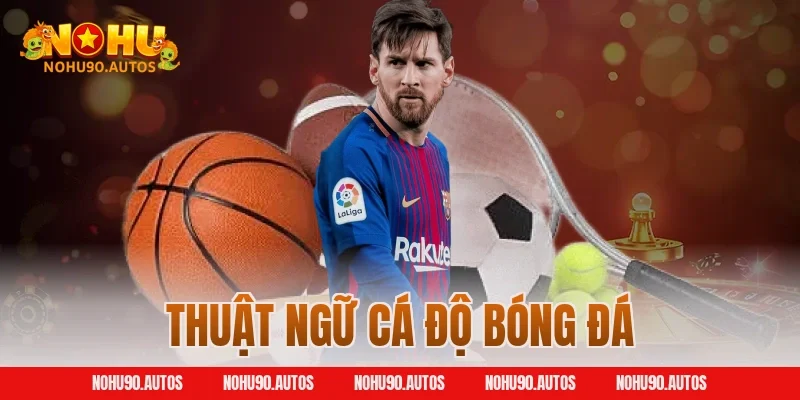 Hiểu Thuật Ngữ Cá Độ Bóng Đá Tận Hưởng Trọn Vẹn Niềm Vui Tại NOHU90